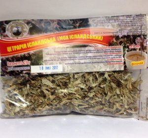 Купити траву Ісландський мох ( Цетрарія) як протизапальний, відхаркувальний, обволікаючий засіб