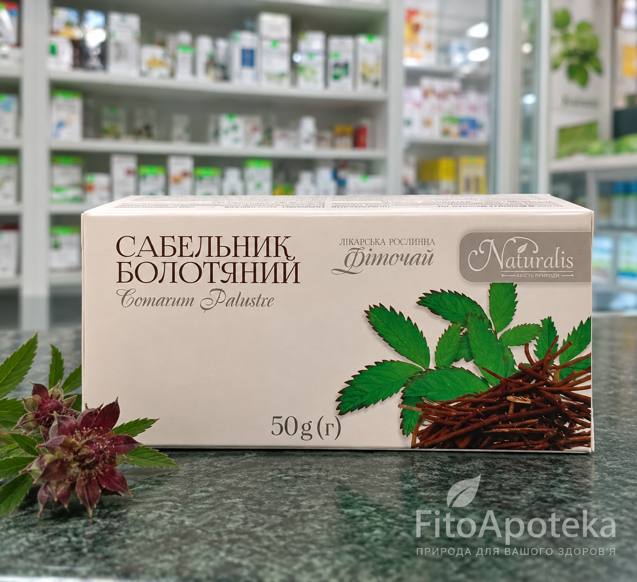 Сабельник коріння Натураліс 50 г — розсипна рослинна сировина для суглобів