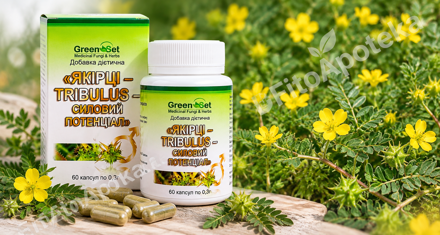 БАД Якірці Трибулус (Tribulus terrestris) GreenSet — 60 капсул по 0,3 г для підтримки лібідо та сексуальної функції.