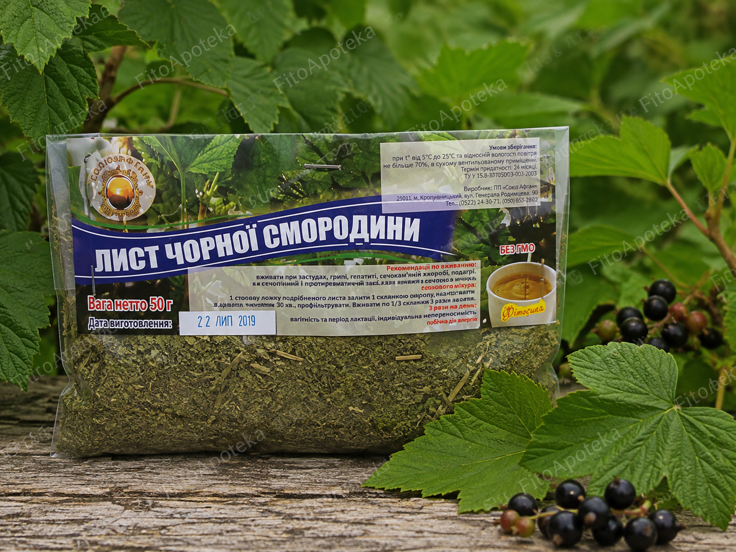 Лист смородини 50 г — сухе листя чорної смородини FitoApoteka