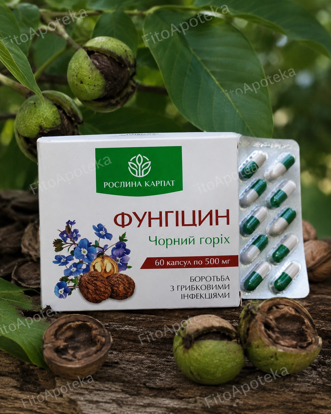 Фунгіцин Чорний горіх — рослинний комплекс від грибкових інфекцій, 60 капсул