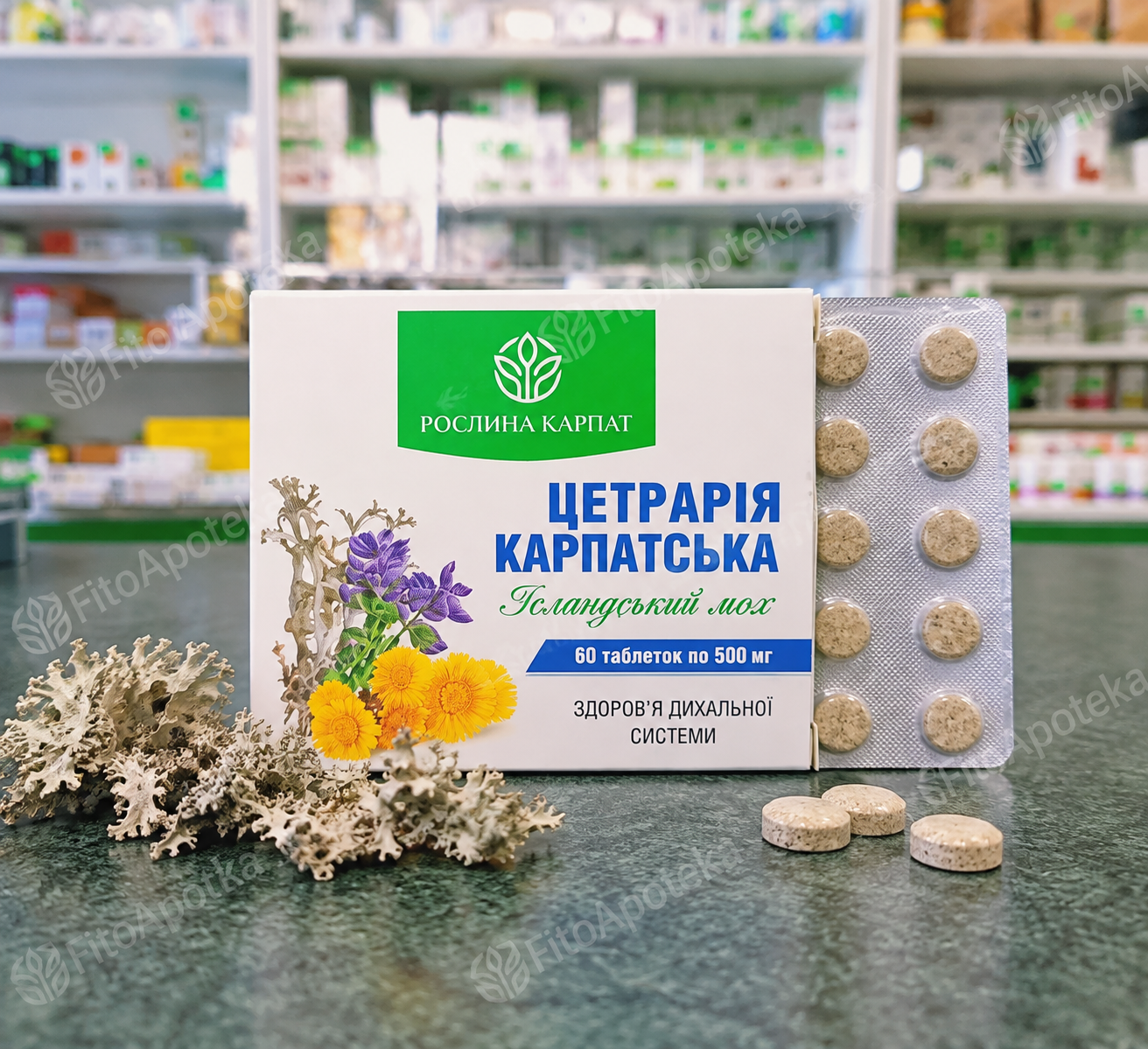 Упаковка Цетрарія Карпатська та блістер із таблетками, Рослина Карпат