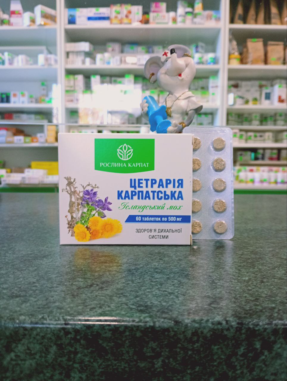 Цетрарія карпатська Ісландський мох таблетки — природна підтримка дихальних шляхів. М’яко пом’якшує горло та полегшує кашель.